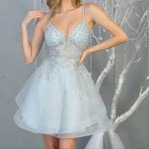 Elegant Silver Lace Tulle Dress